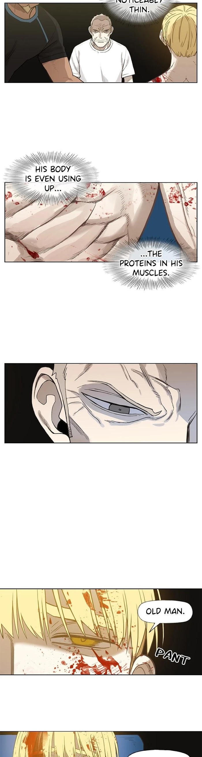 Read The Boxer (en) Manga Online