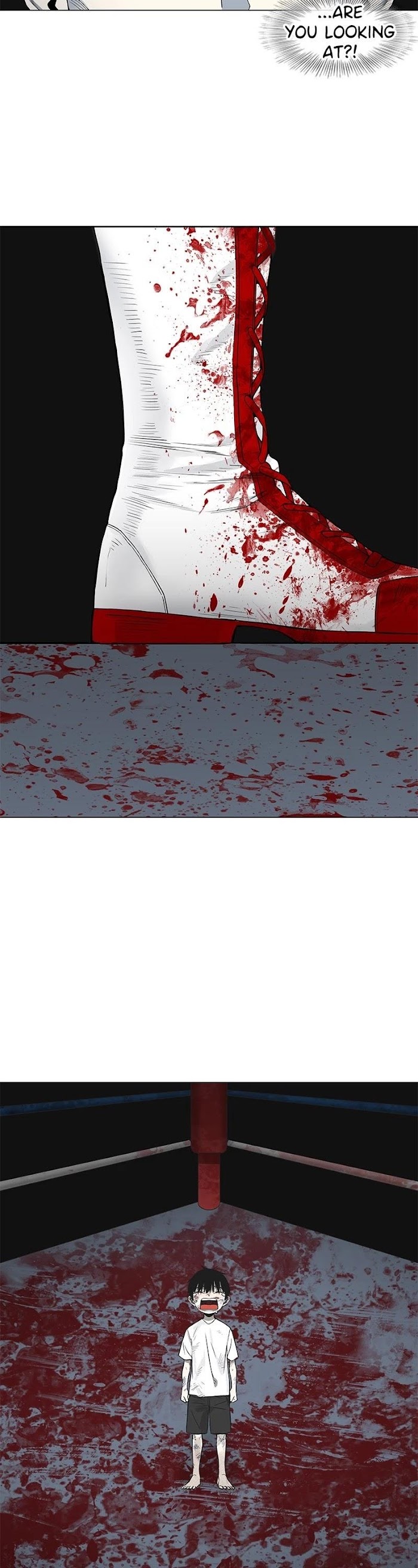 Read The Boxer (en) Manga Online