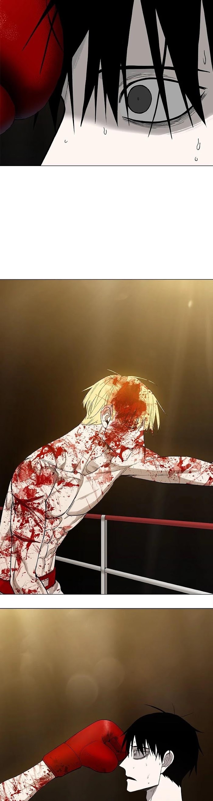 Read The Boxer (en) Manga Online