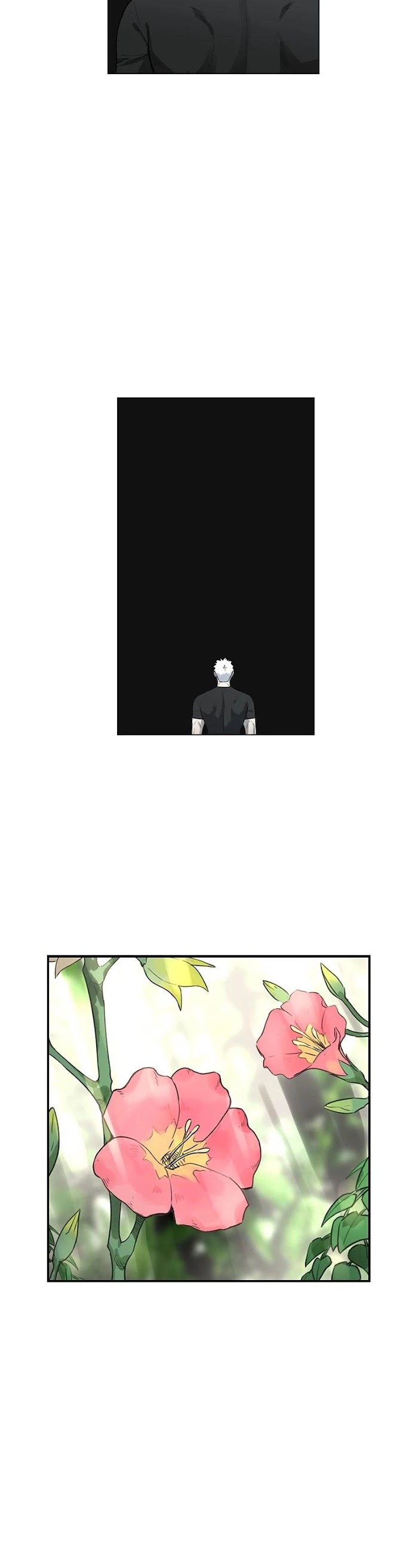 Read The Boxer (en) Manga Online