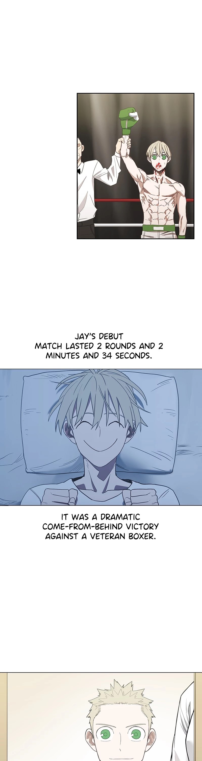 Read The Boxer (en) Manga Online