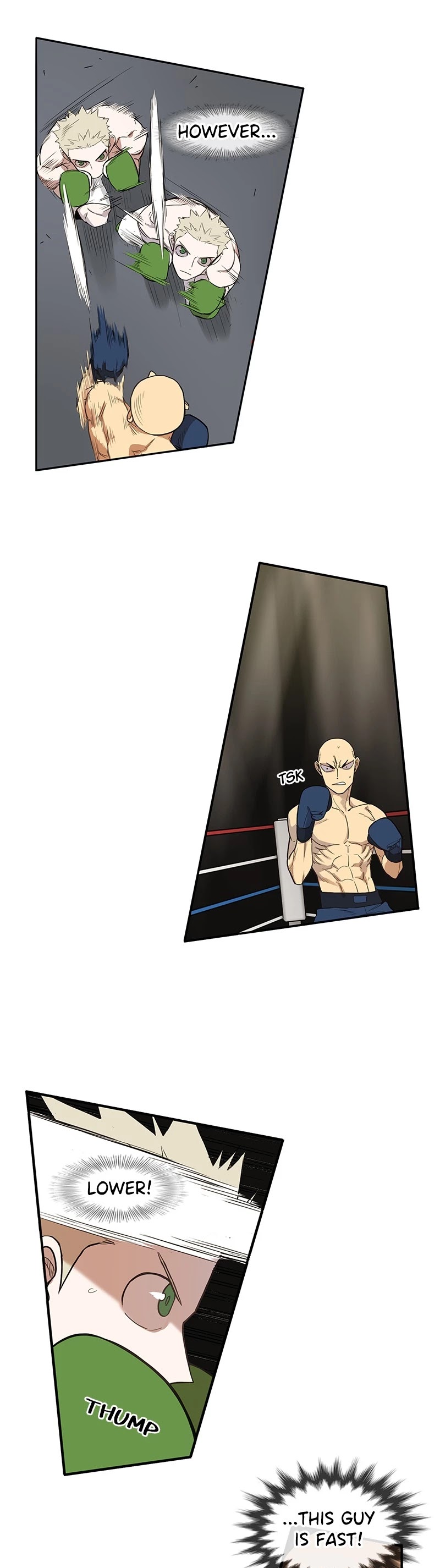 Read The Boxer (en) Manga Online