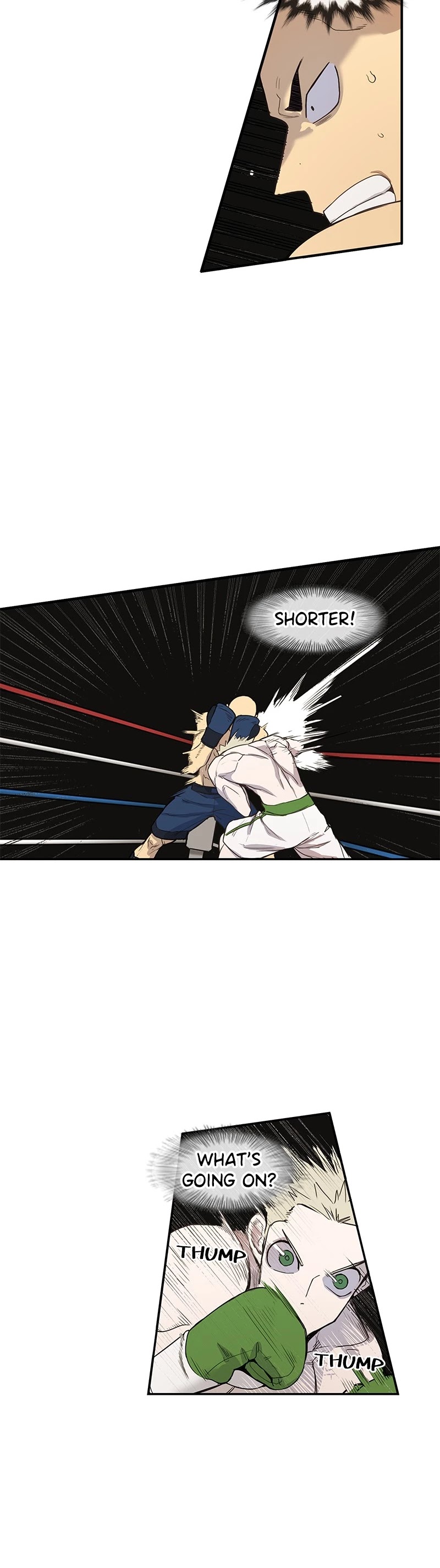 Read The Boxer (en) Manga Online