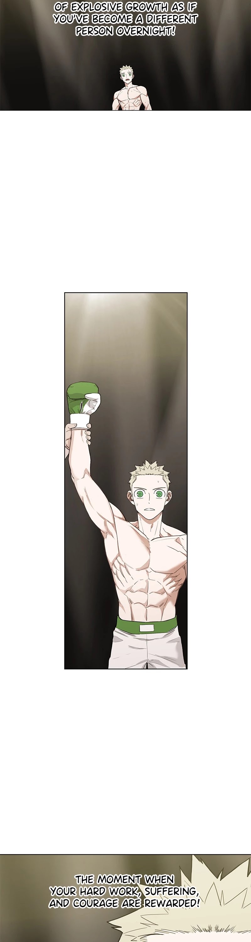 Read The Boxer (en) Manga Online