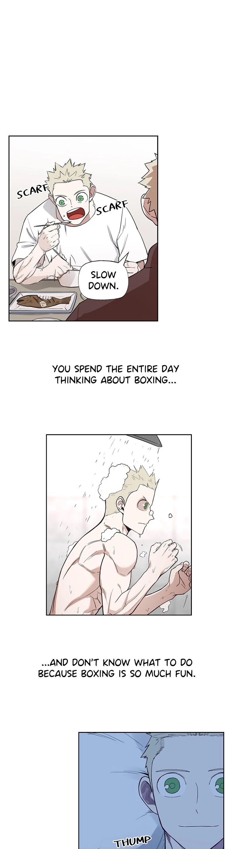 Read The Boxer (en) Manga Online