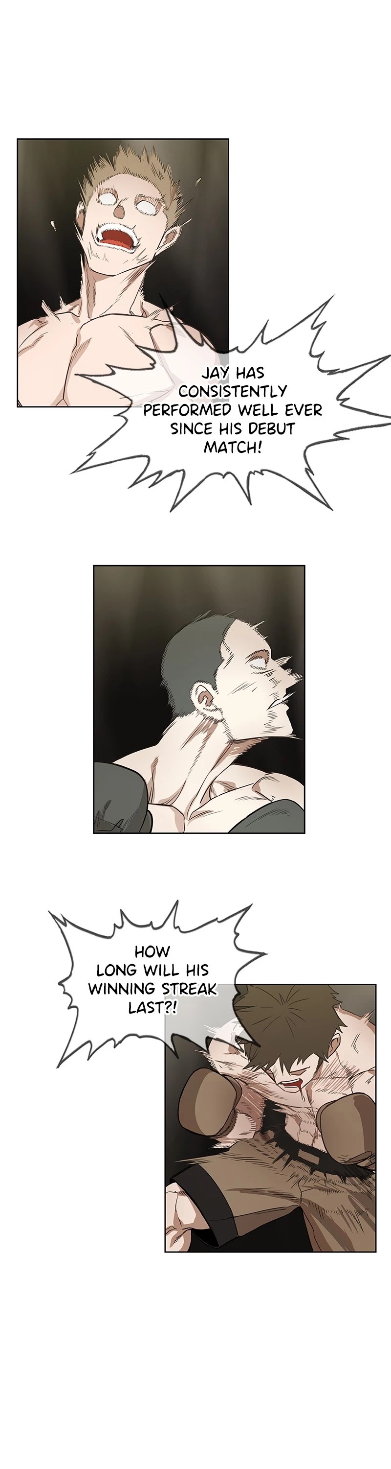 Read The Boxer (en) Manga Online