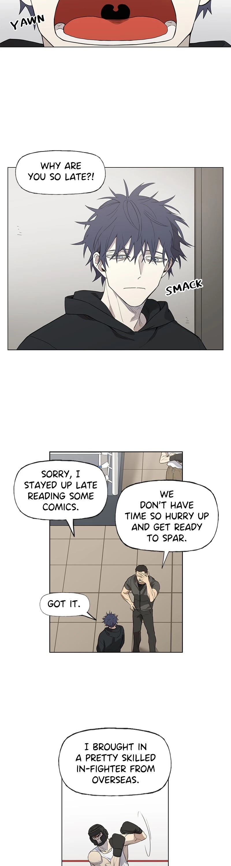 Read The Boxer (en) Manga Online