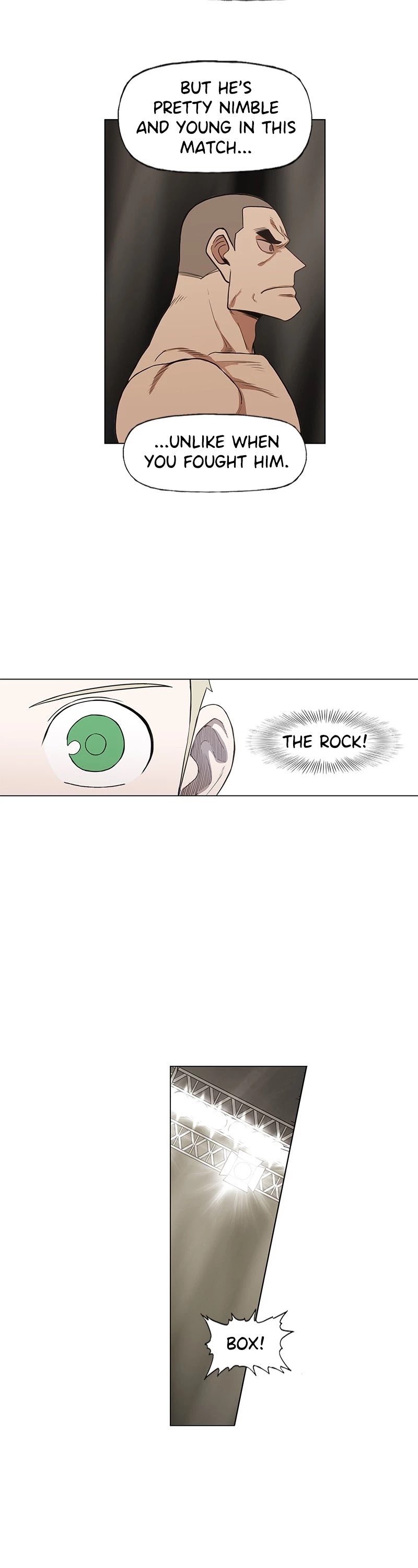 Read The Boxer (en) Manga Online