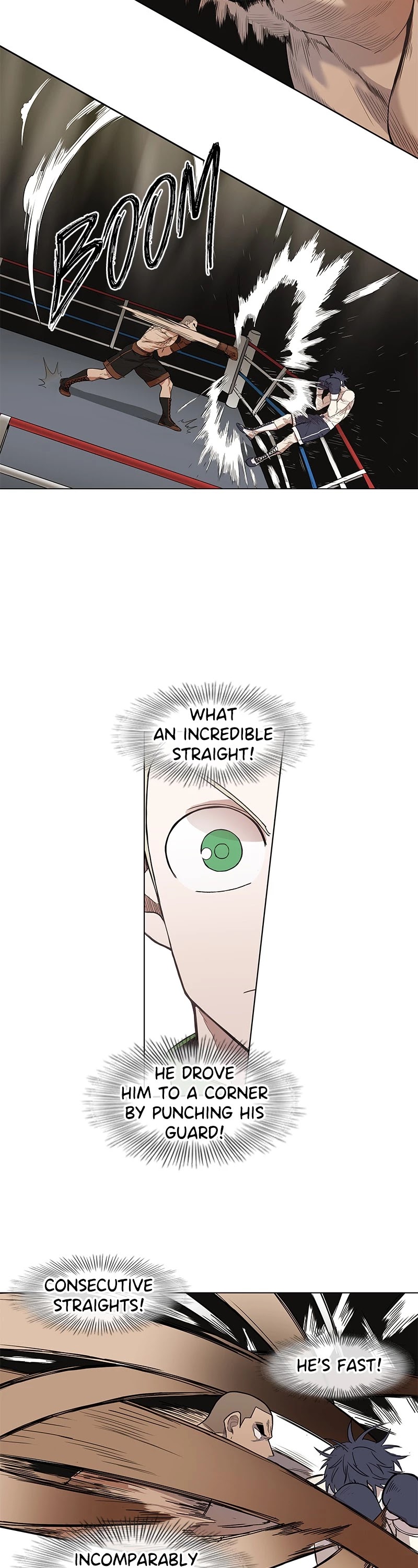 Read The Boxer (en) Manga Online