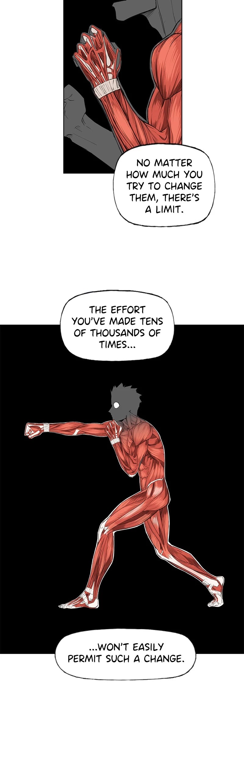 Read The Boxer (en) Manga Online