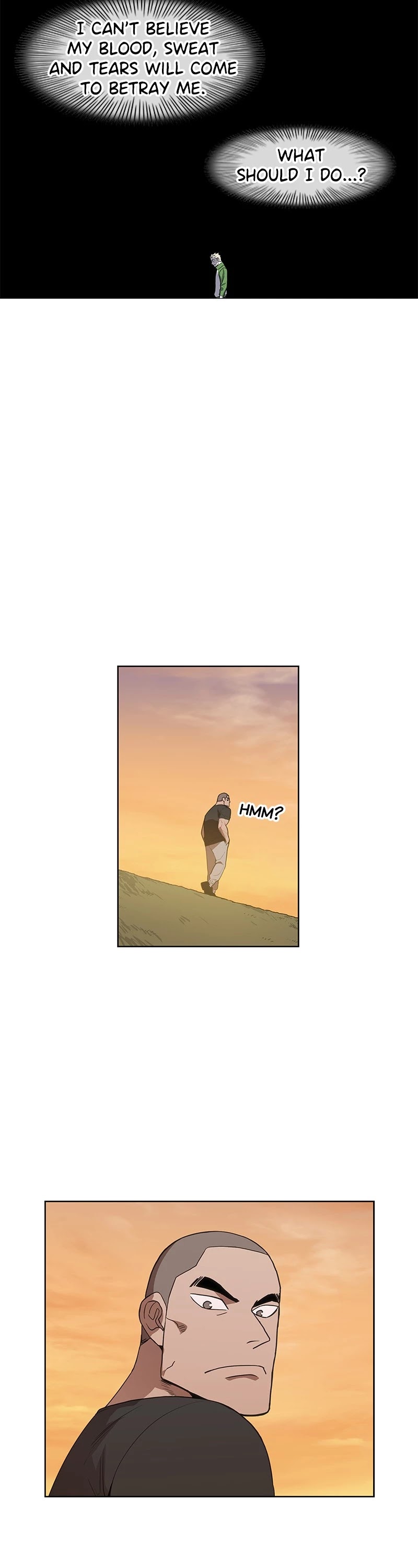 Read The Boxer (en) Manga Online