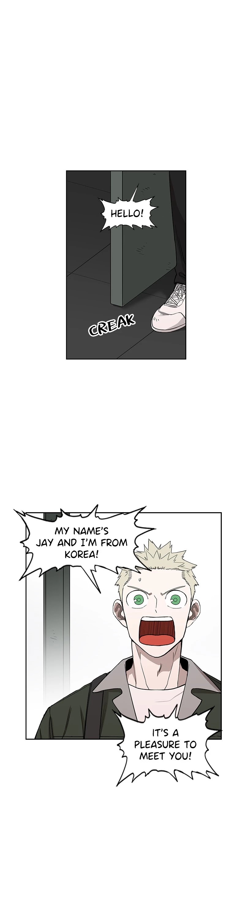 Read The Boxer (en) Manga Online