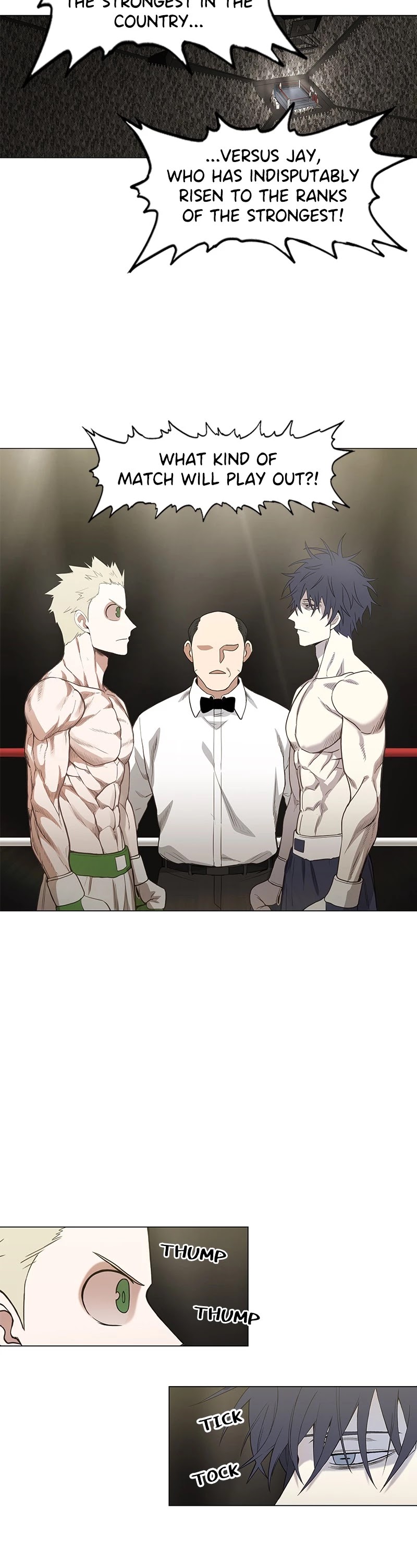 Read The Boxer (en) Manga Online