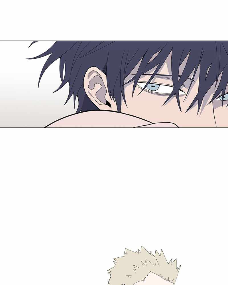 Read The Boxer (en) Manga Online