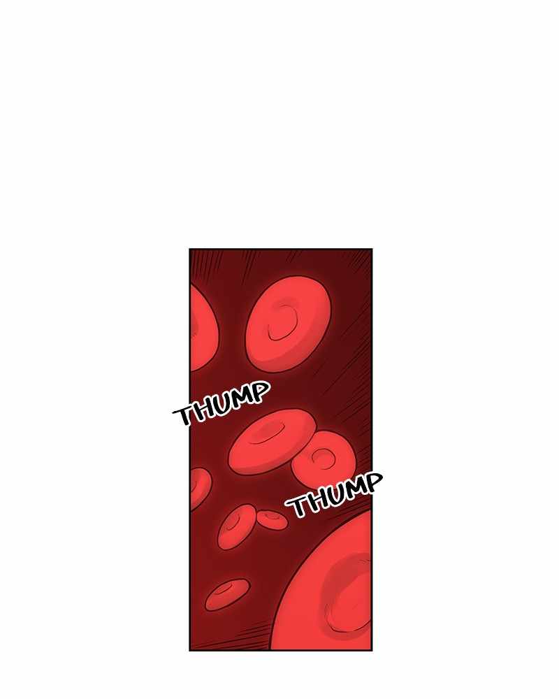 Read The Boxer (en) Manga Online