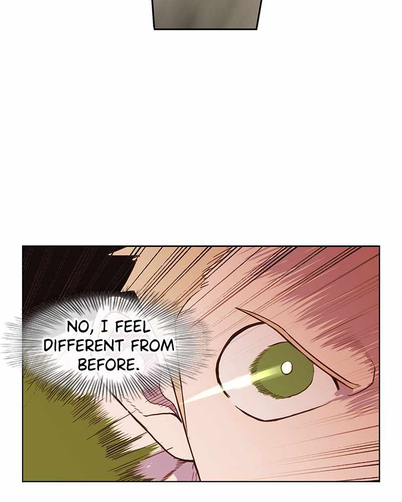 Read The Boxer (en) Manga Online