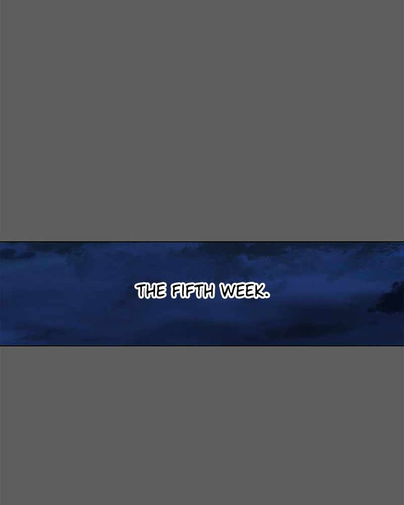 Read The Boxer (en) Manga Online