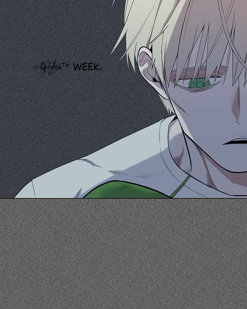 Read The Boxer (en) Manga Online