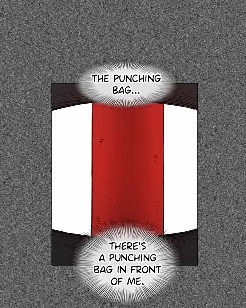 Read The Boxer (en) Manga Online