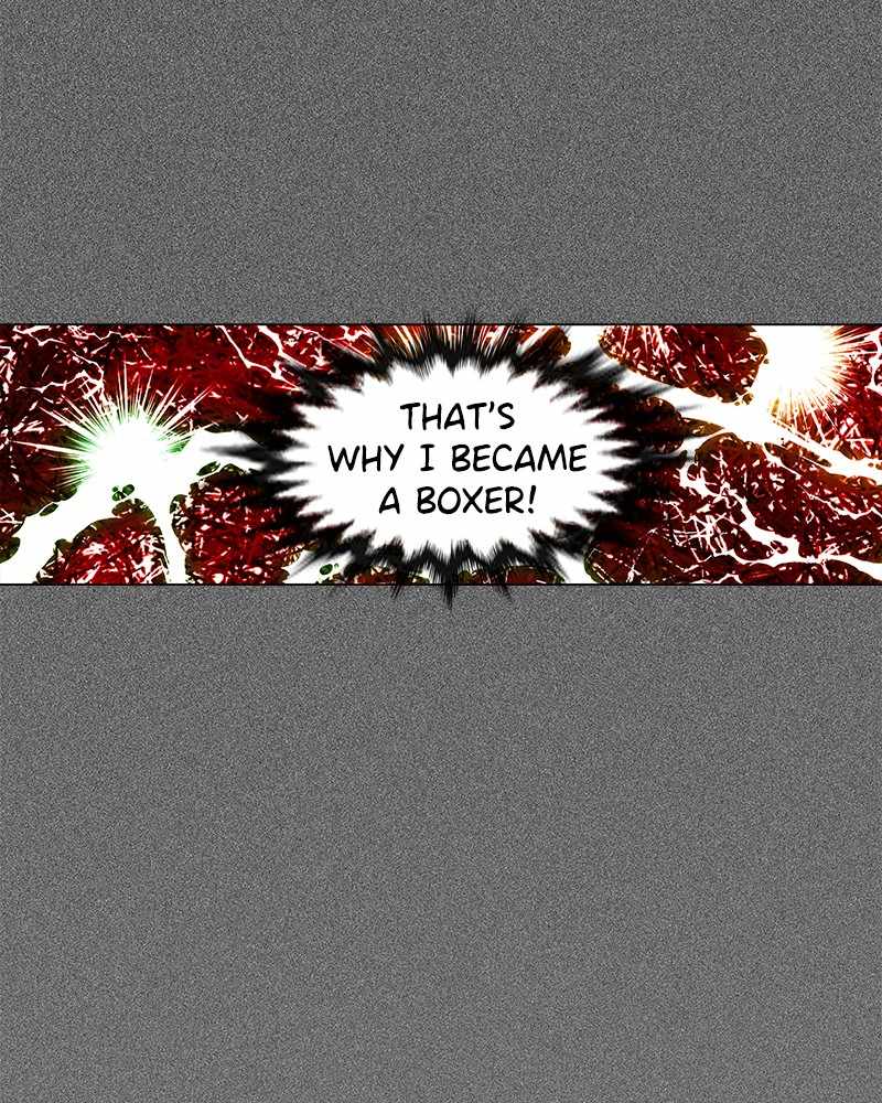 Read The Boxer (en) Manga Online