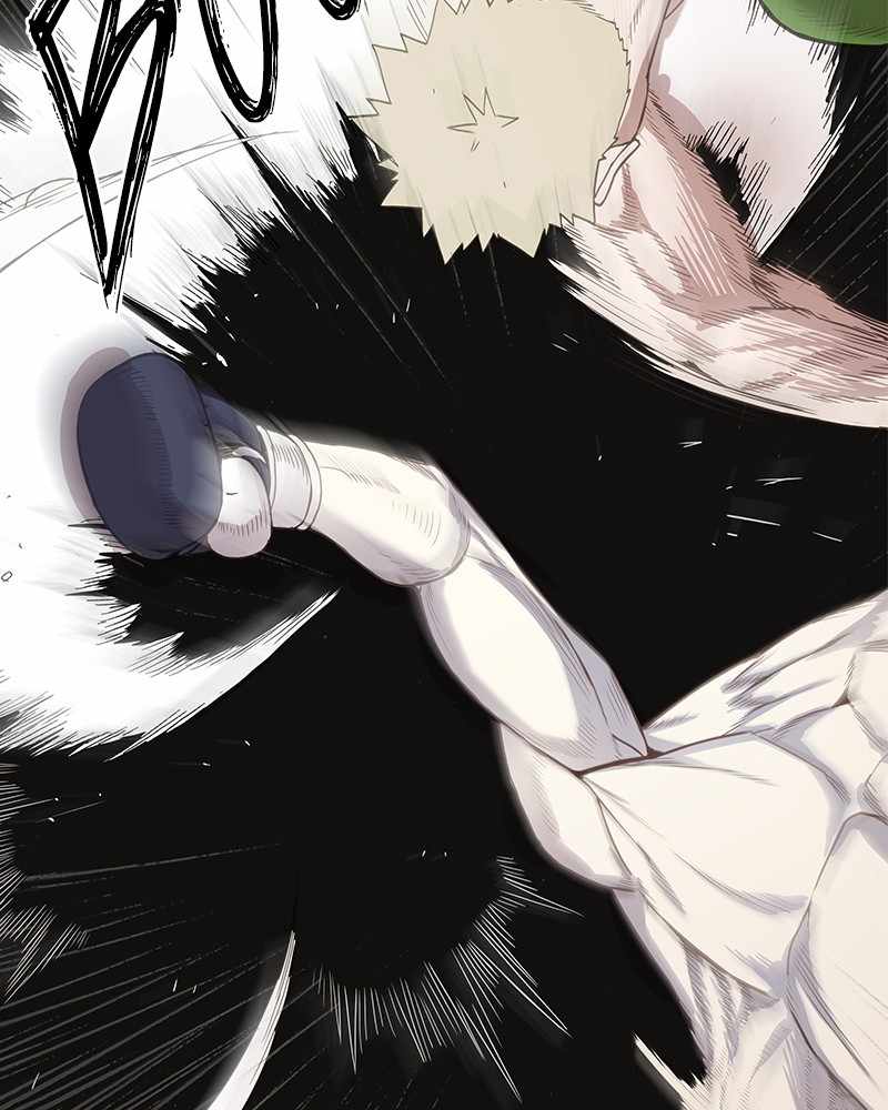 Read The Boxer (en) Manga Online