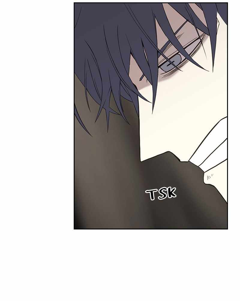 Read The Boxer (en) Manga Online