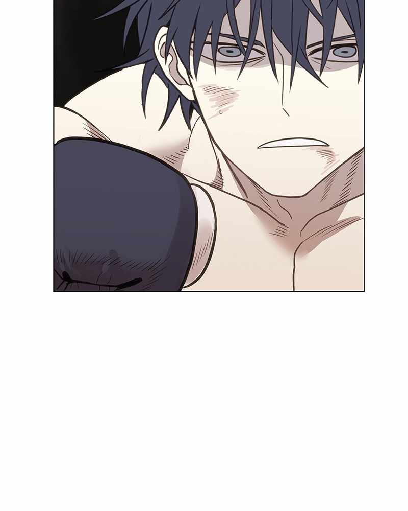 Read The Boxer (en) Manga Online