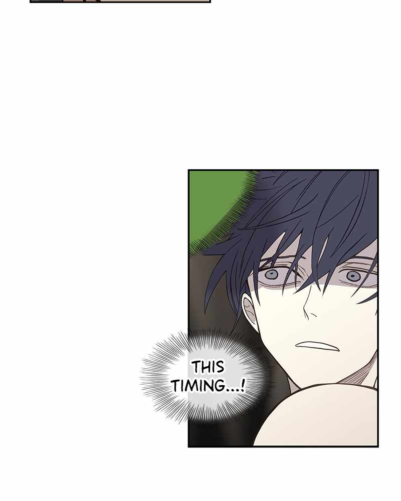 Read The Boxer (en) Manga Online