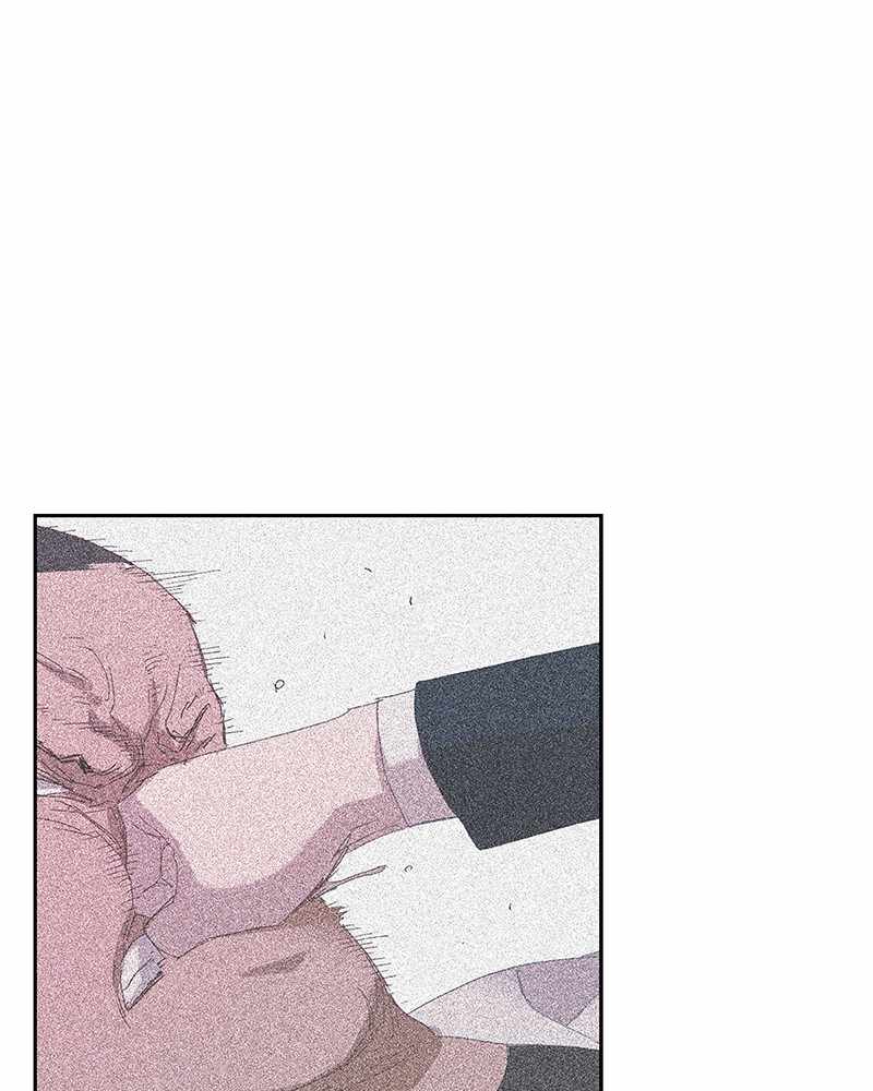 Read The Boxer (en) Manga Online