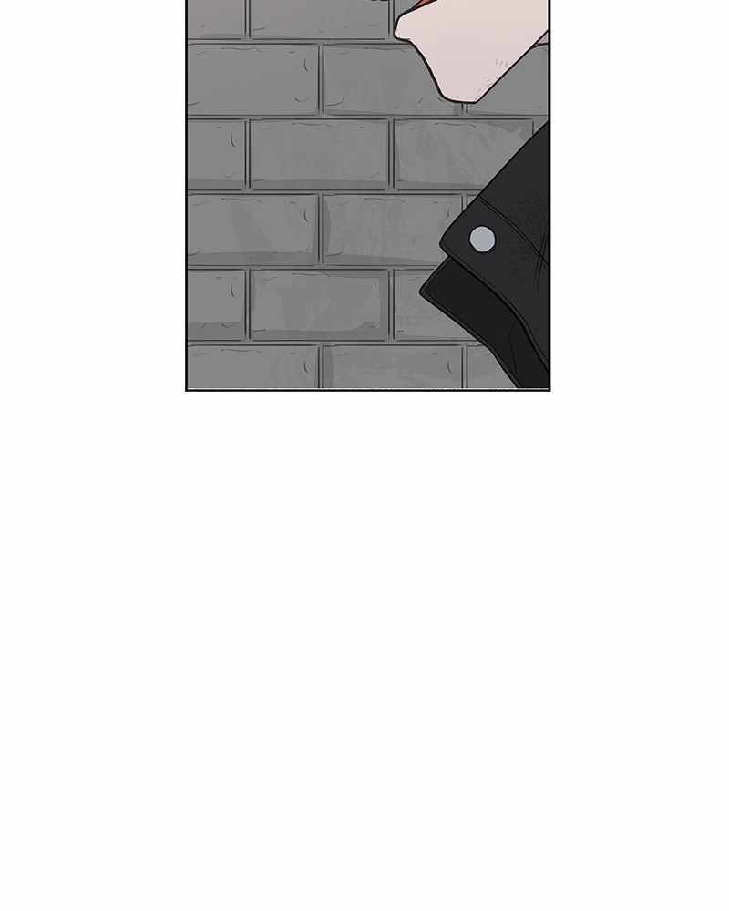 Read The Boxer (en) Manga Online