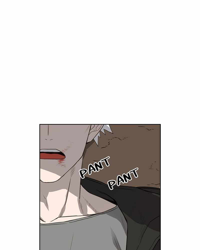 Read The Boxer (en) Manga Online