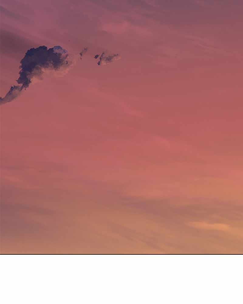 Read The Boxer (en) Manga Online