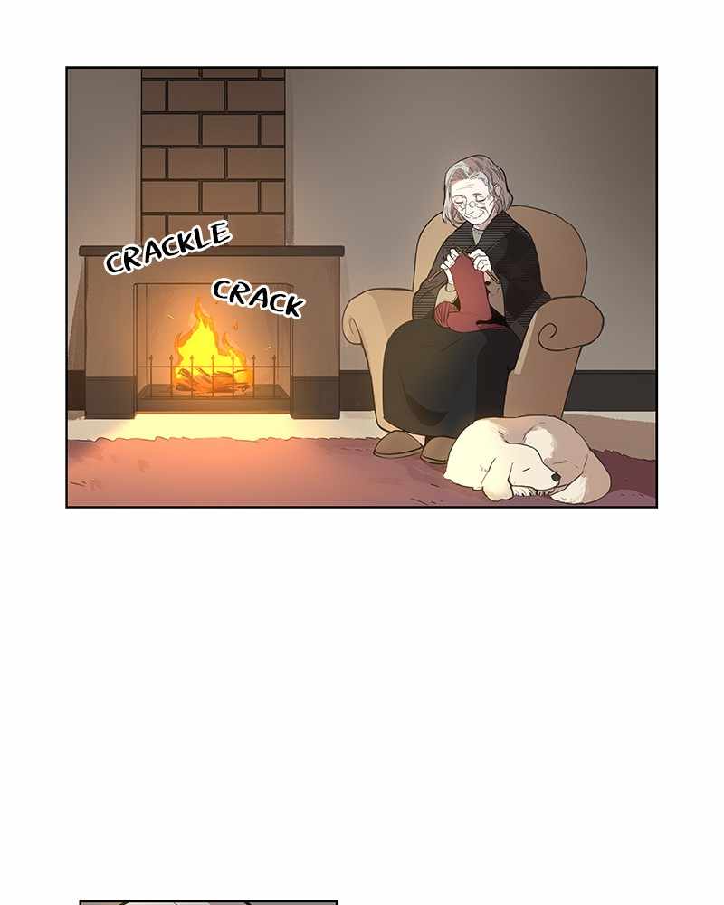 Read The Boxer (en) Manga Online