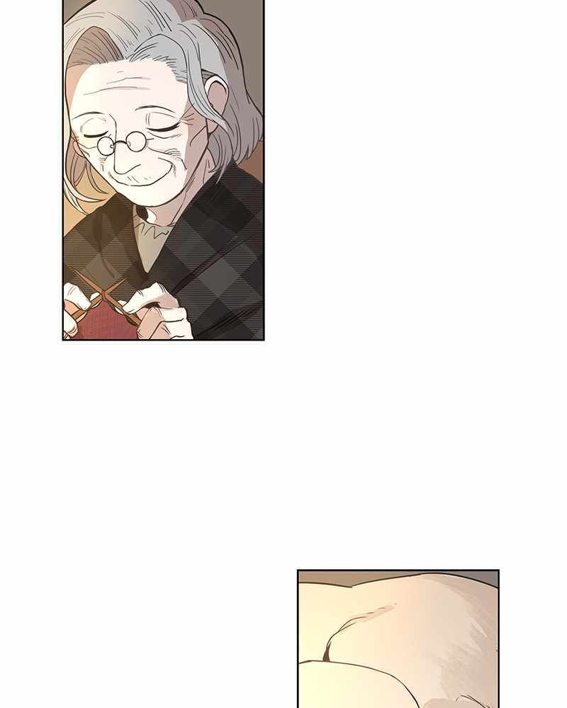 Read The Boxer (en) Manga Online