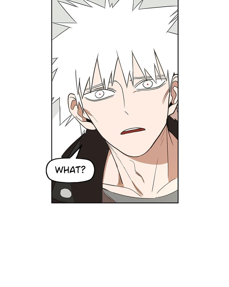 Read The Boxer (en) Manga Online