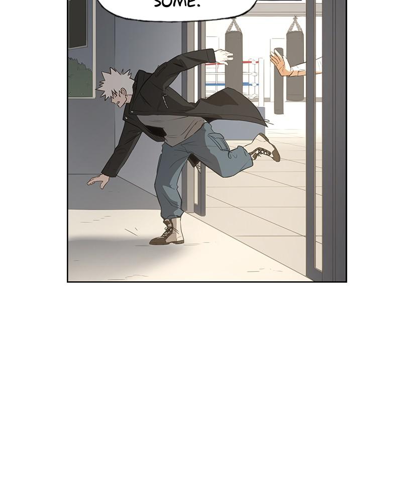 Read The Boxer (en) Manga Online