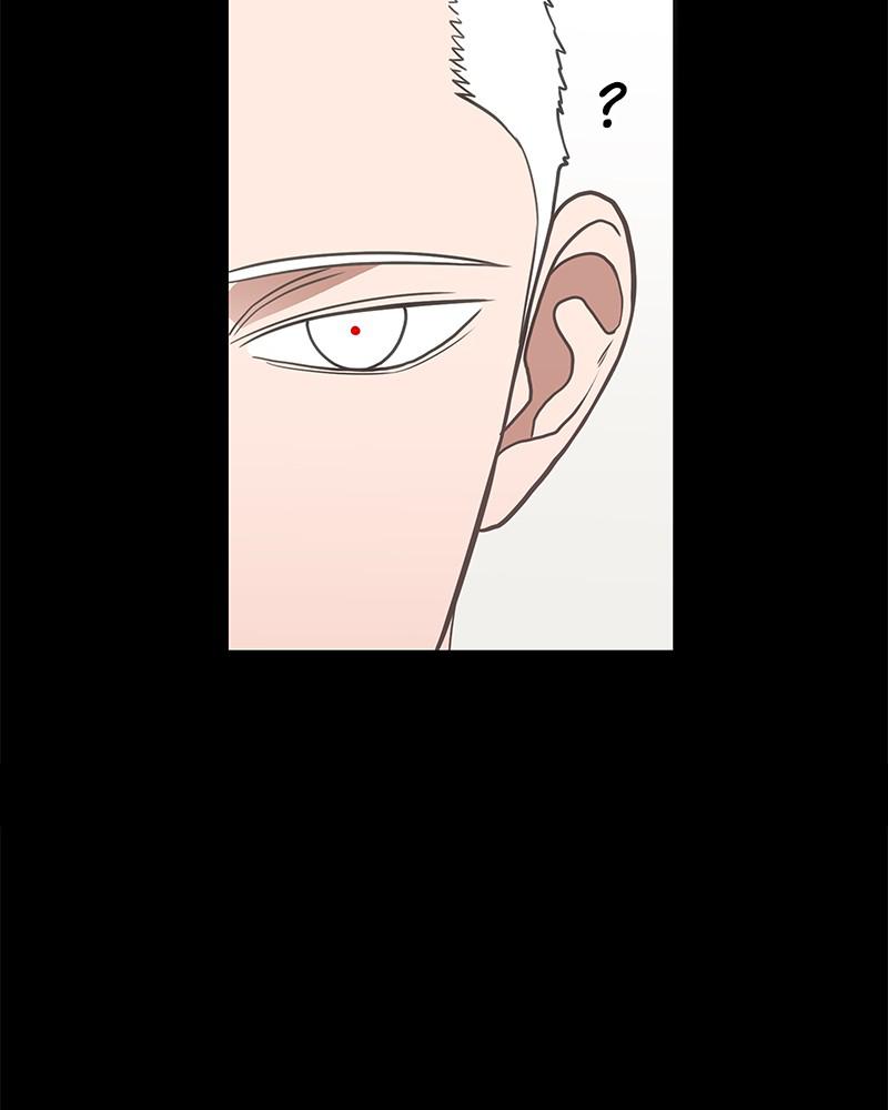 Read The Boxer (en) Manga Online