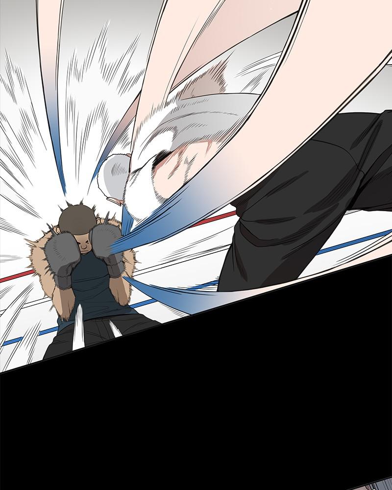 Read The Boxer (en) Manga Online