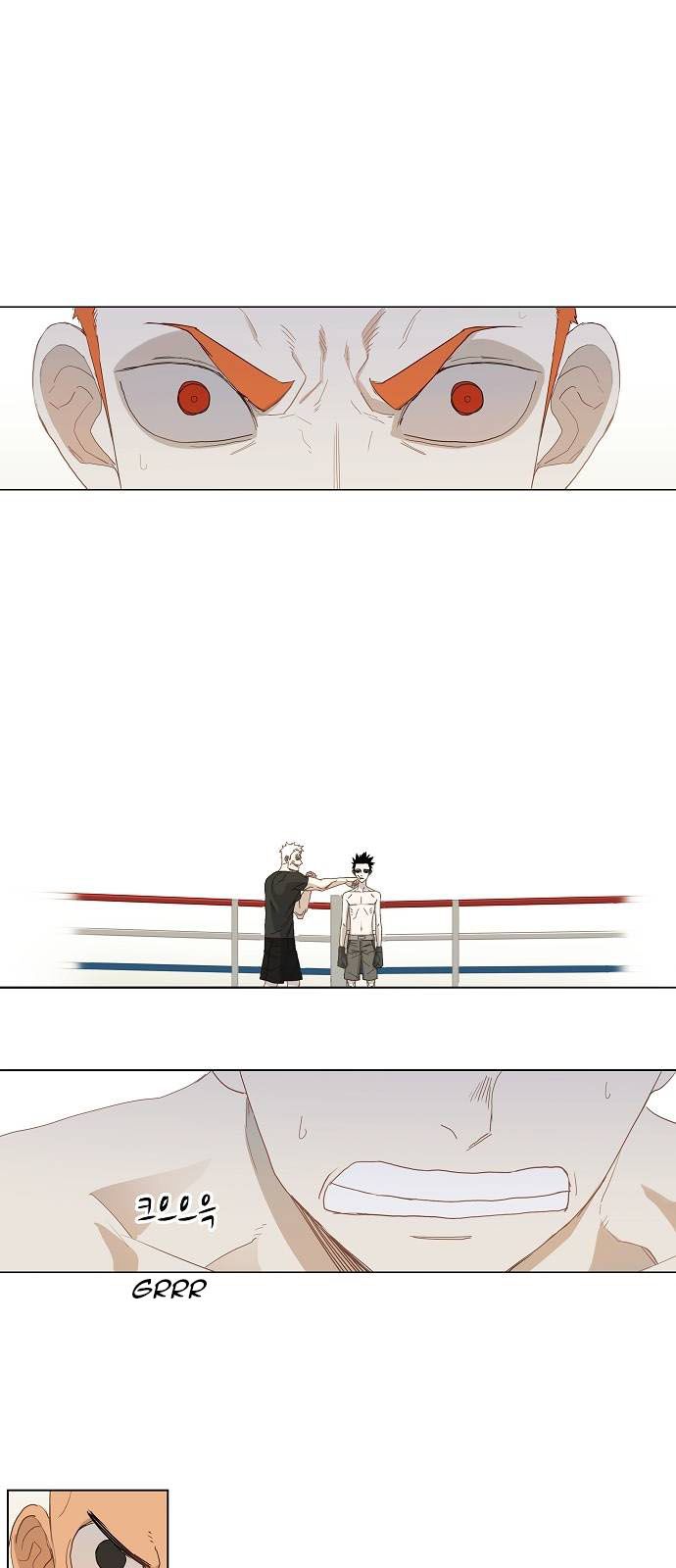 Read The Boxer (en) Manga Online