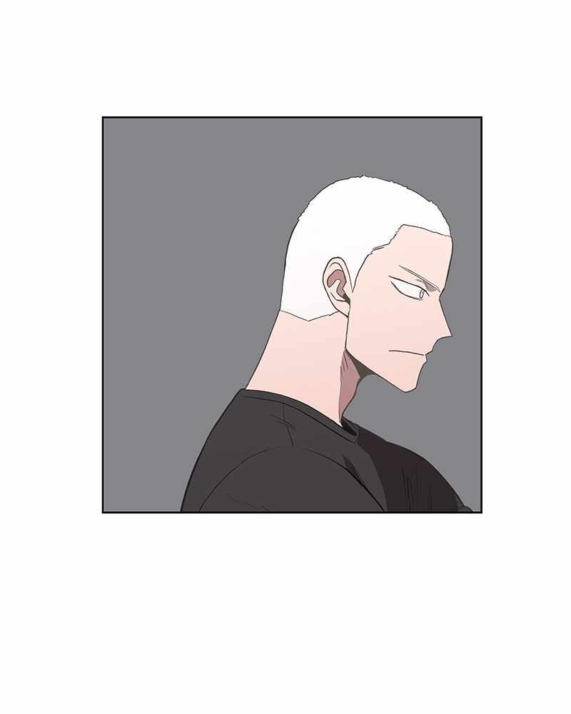 Read The Boxer (en) Manga Online