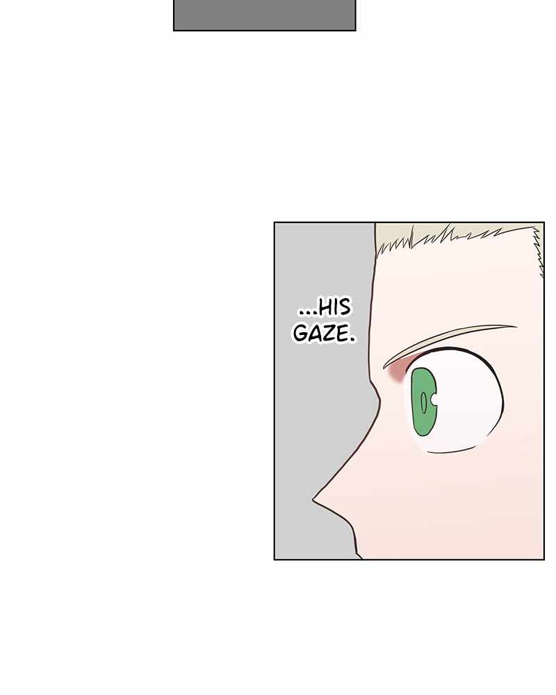 Read The Boxer (en) Manga Online