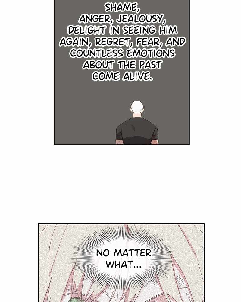 Read The Boxer (en) Manga Online