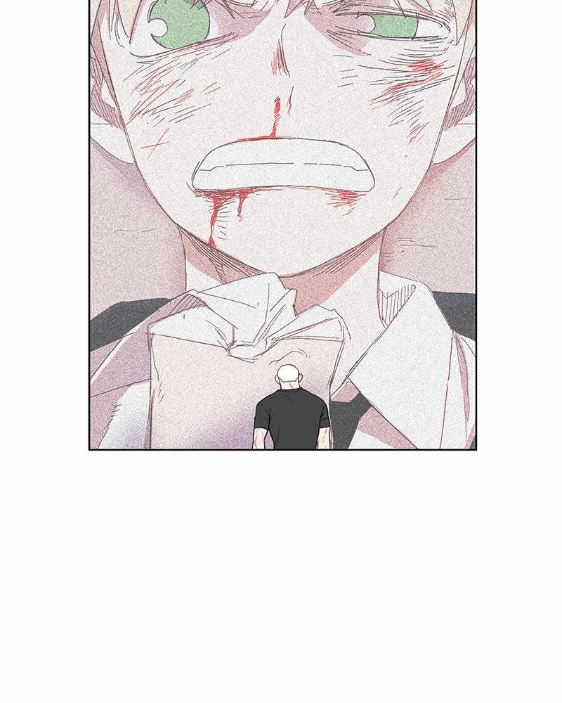 Read The Boxer (en) Manga Online