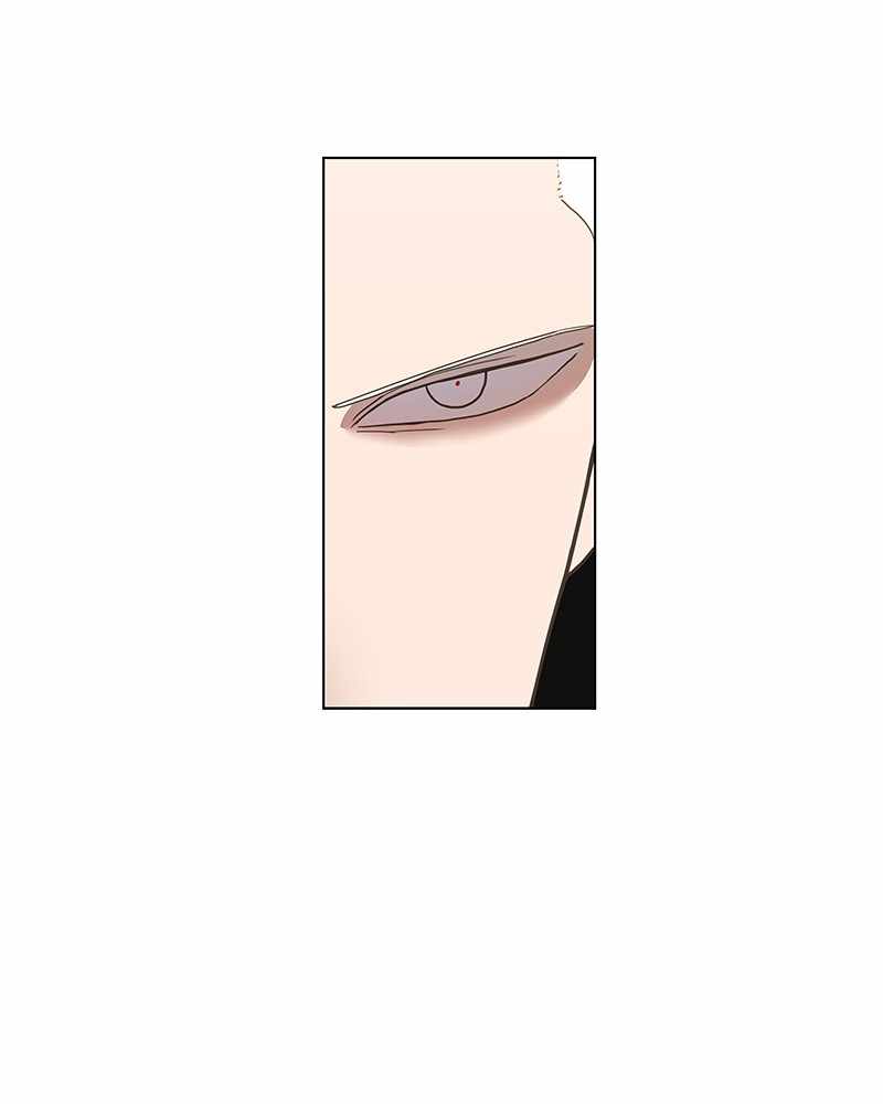 Read The Boxer (en) Manga Online