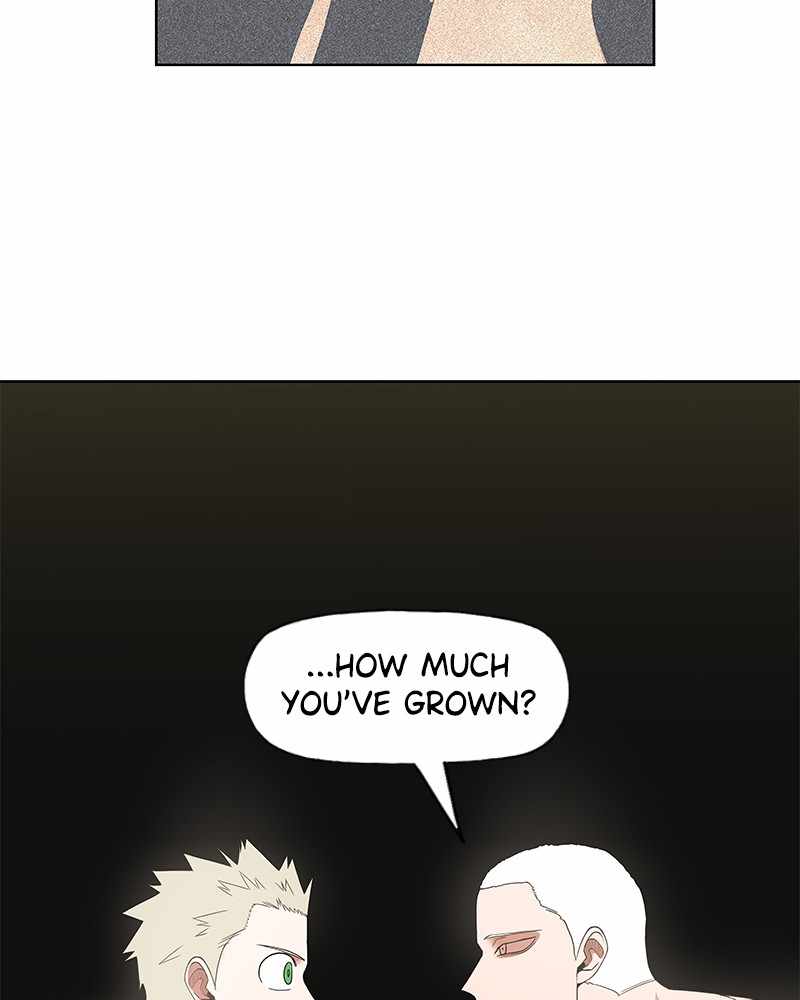 Read The Boxer (en) Manga Online