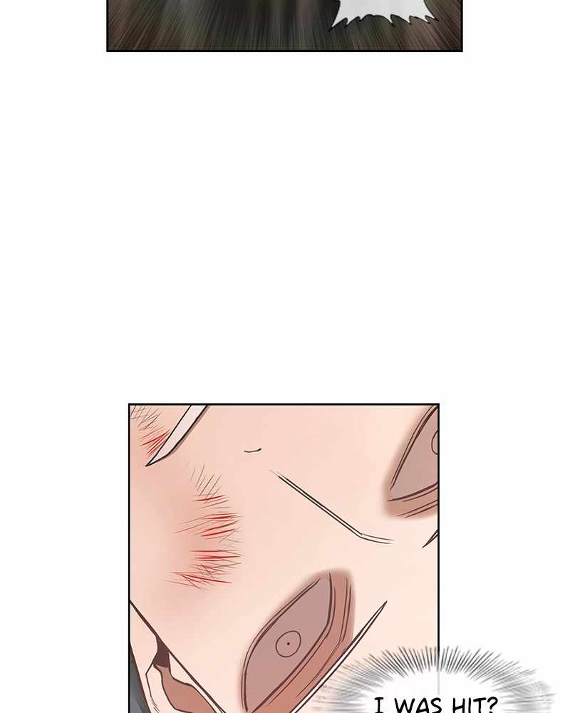 Read The Boxer (en) Manga Online