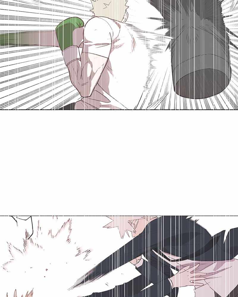 Read The Boxer (en) Manga Online