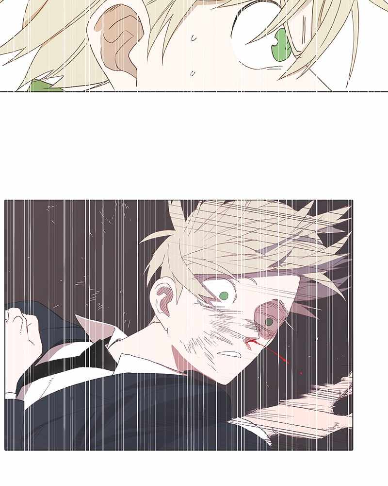 Read The Boxer (en) Manga Online