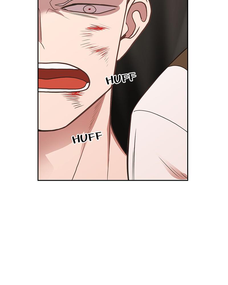 Read The Boxer (en) Manga Online