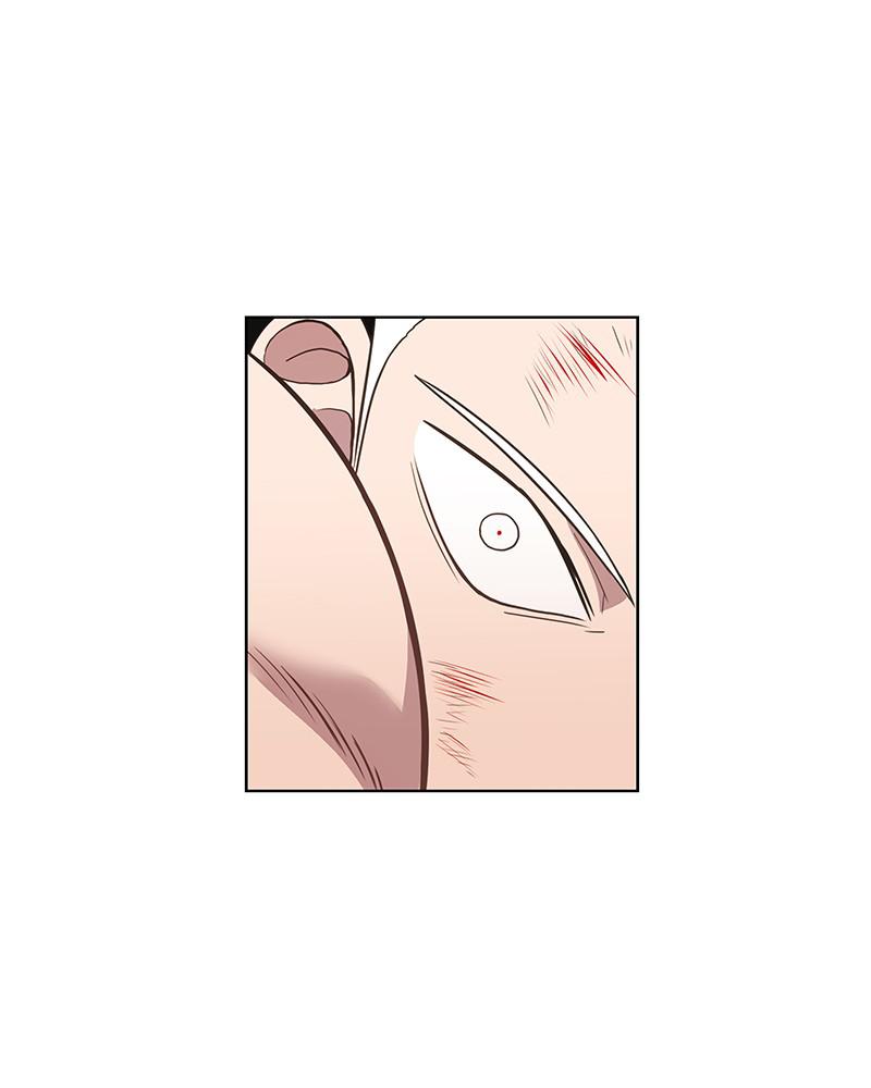 Read The Boxer (en) Manga Online